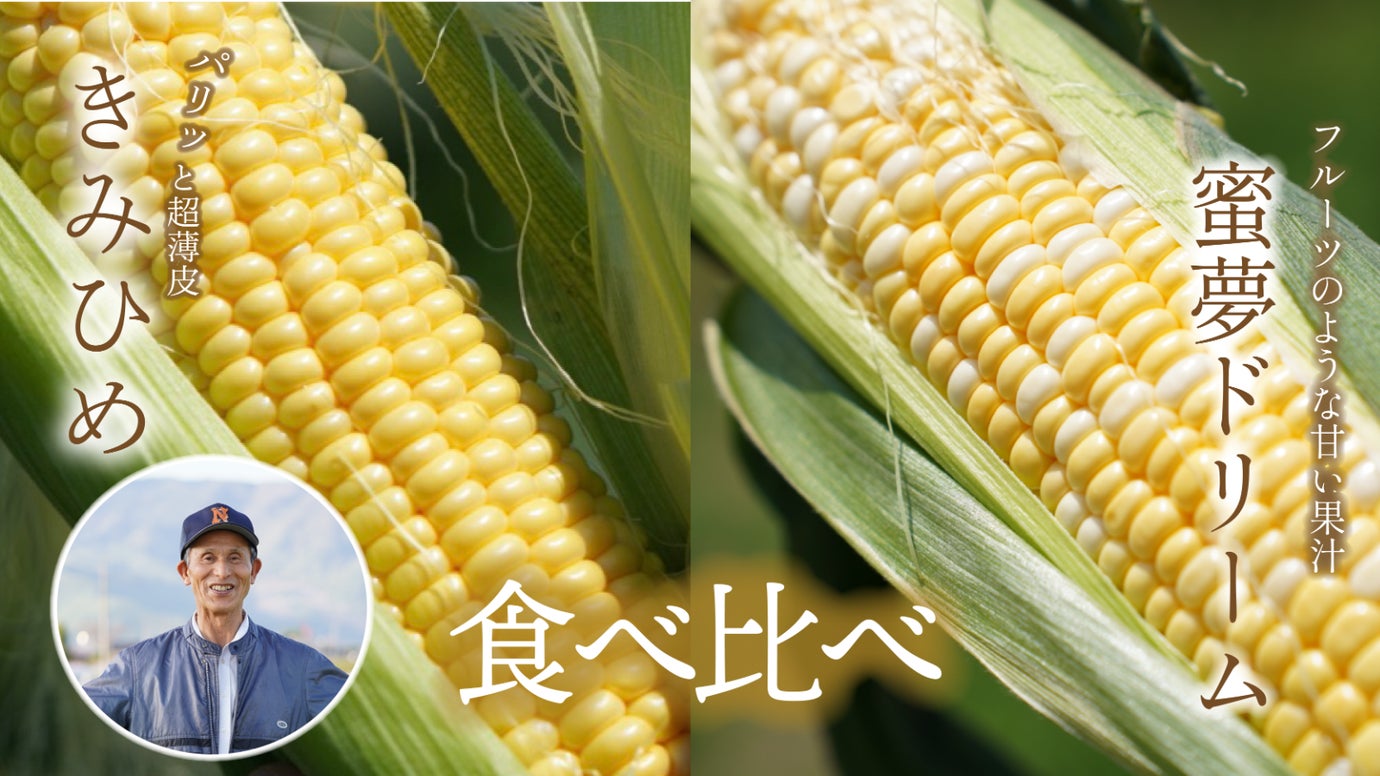 【産地直送】とうもろこし作りのプロが極めた「幻」の２品種を食べ比べてみませんか？