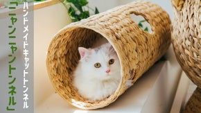 自然素材で落ち着く！運動も促進できる猫の隠れ家「ニャンニャントンネル」