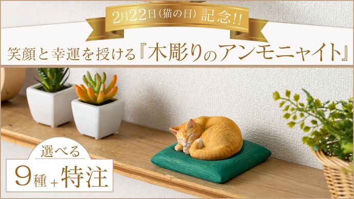 2月22日（猫の日）記念！ 笑顔と幸運を授ける『木彫りのアンモニャイト』が誕生！
