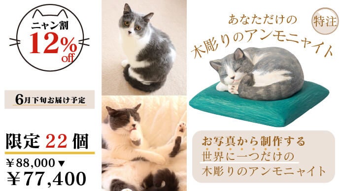 2月22日（猫の日）記念！ 笑顔と幸運を授ける『木彫りのアンモニャイト