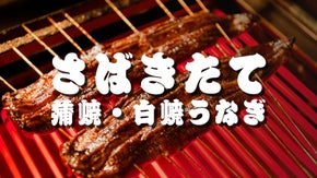 【注文後にさばく】百年鰻屋の極上うなぎを焼き立て急速冷凍でご自宅へ