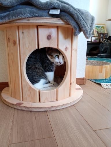 端材×匠の技！猫と地球に優しい秘密基地「木製ドラム型キャットハウス