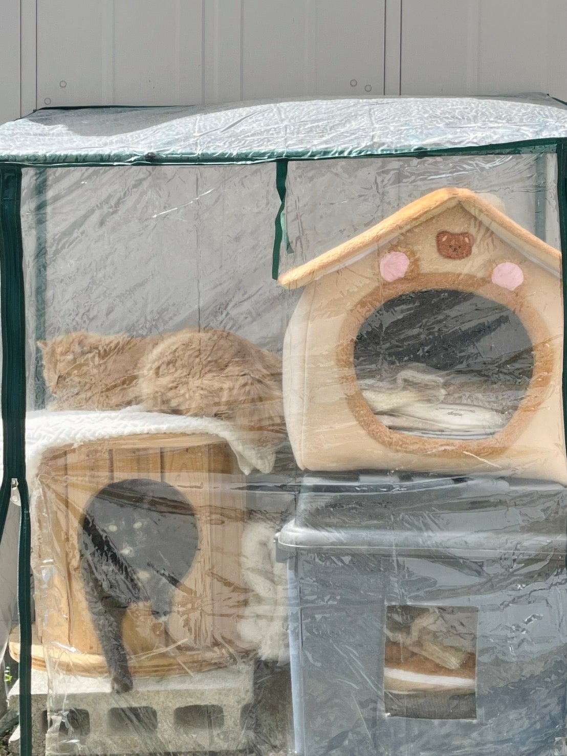端材×匠の技！猫と地球に優しい秘密基地「木製ドラム型キャットハウス