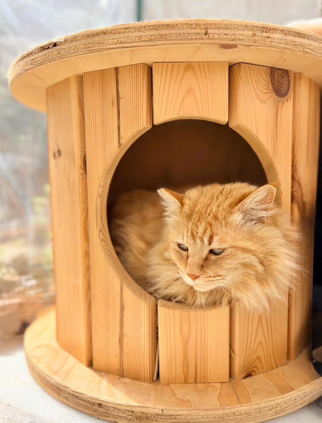 Makuake｜端材×匠の技！猫と地球に優しい秘密基地「木製ドラム型
