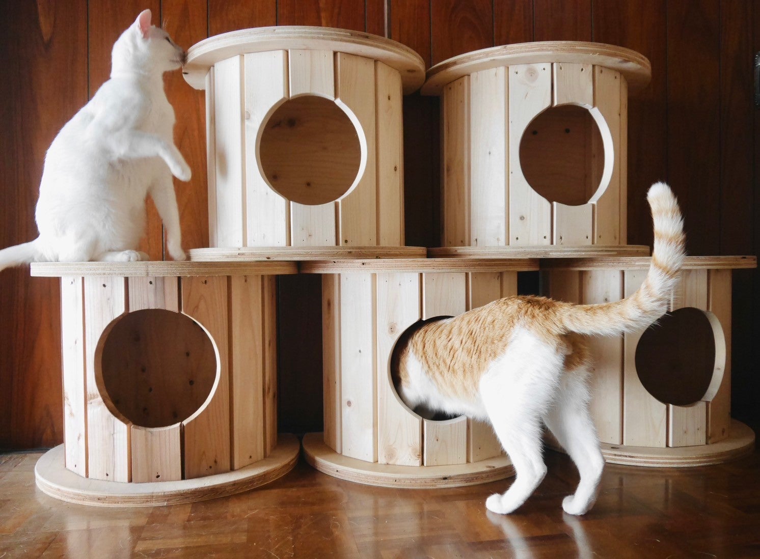 Makuake｜端材×匠の技！猫と地球に優しい秘密基地「木製ドラム型
