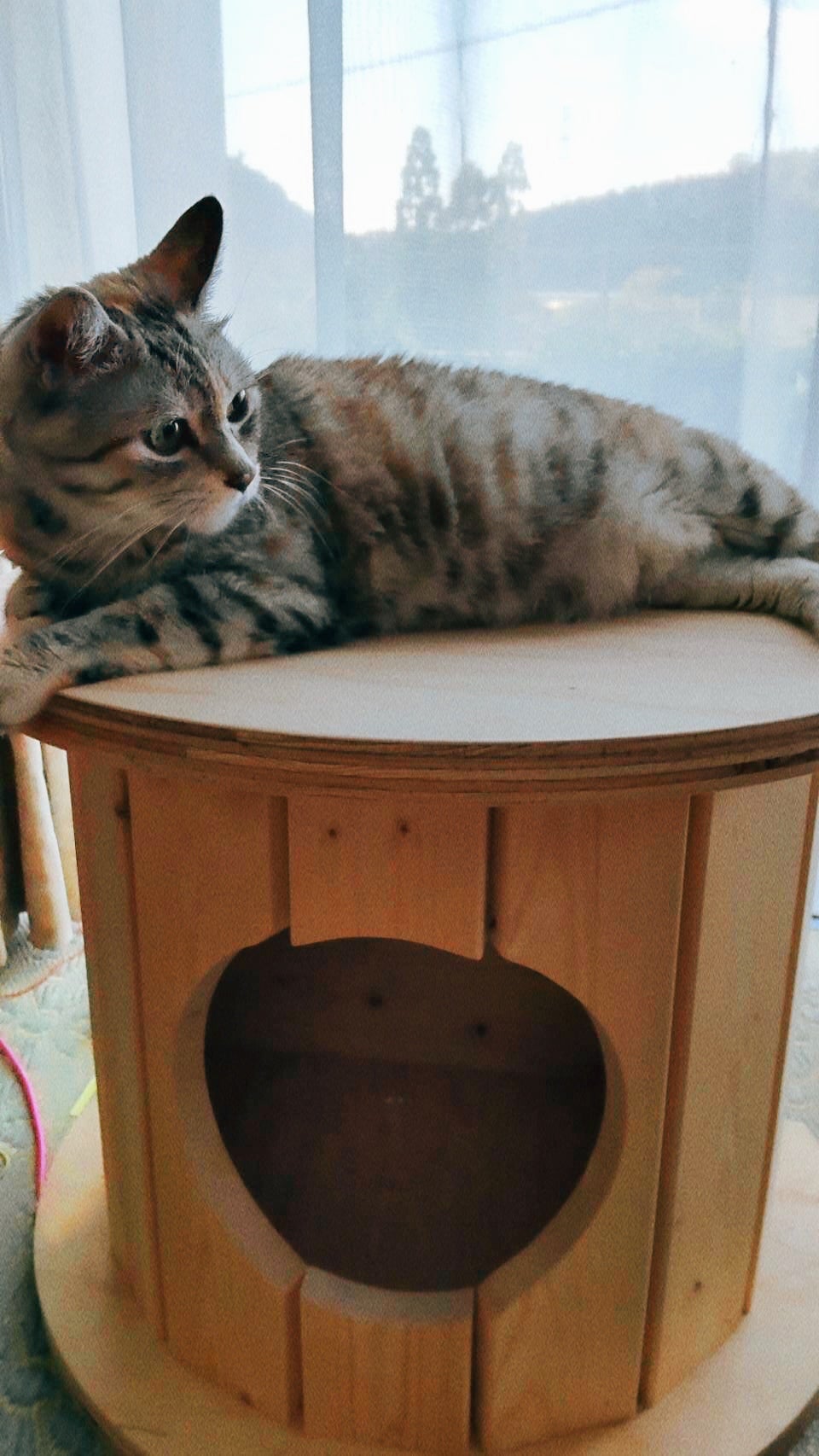 Makuake｜端材×匠の技！猫と地球に優しい秘密基地「木製ドラム型