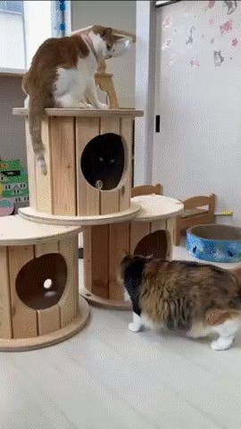 端材×匠の技！猫と地球に優しい秘密基地「木製ドラム型キャットハウス