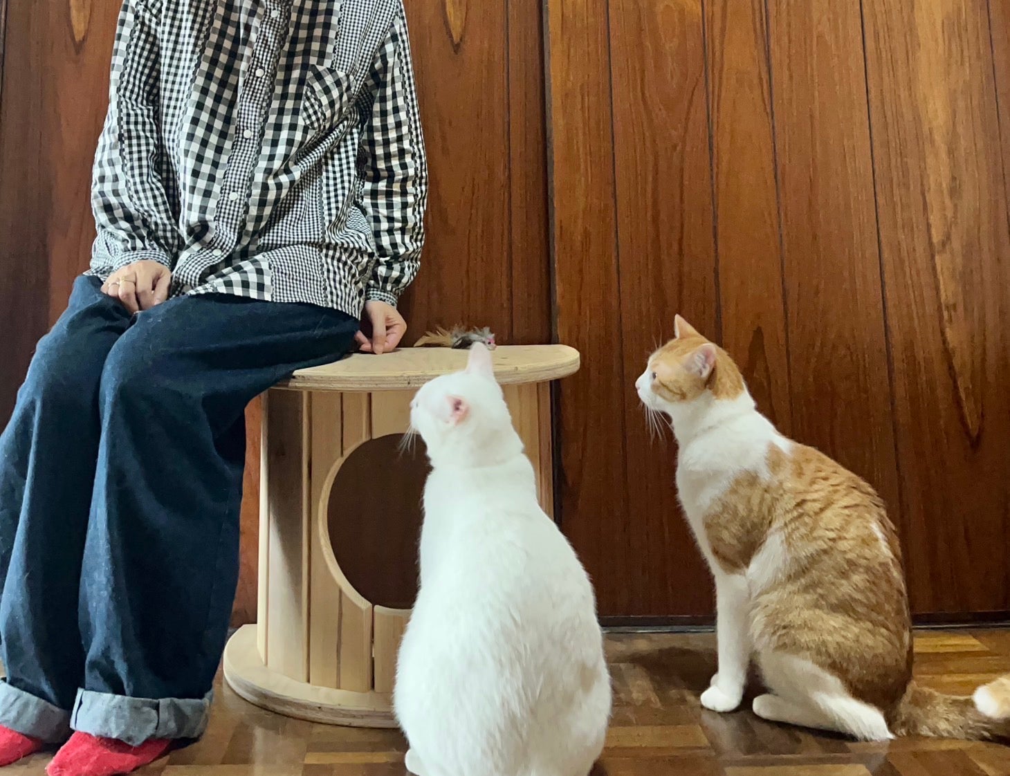 猫ちゃんの秘密基地　ケーブルドラム　　猫ハウス 端材×匠の技！猫と地球に優しい秘密基地「木製ドラム型キャットハウス