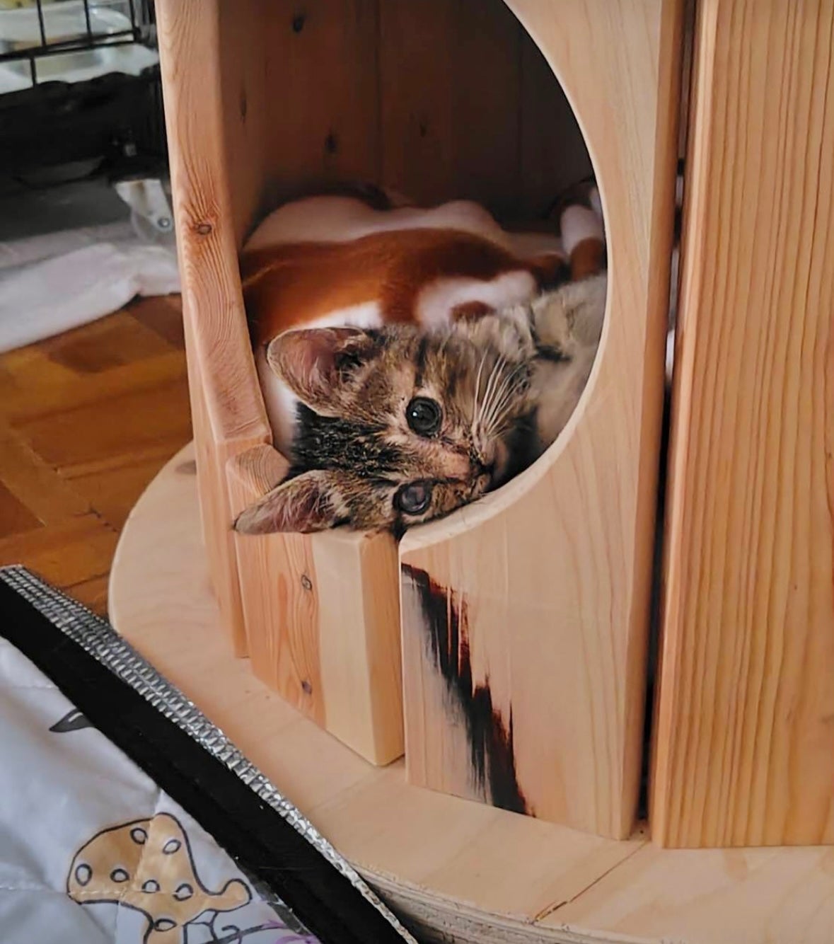 猫ちゃんの秘密基地　ケーブルドラム　　猫ハウス 端材×匠の技！猫と地球に優しい秘密基地「木製ドラム型キャットハウス