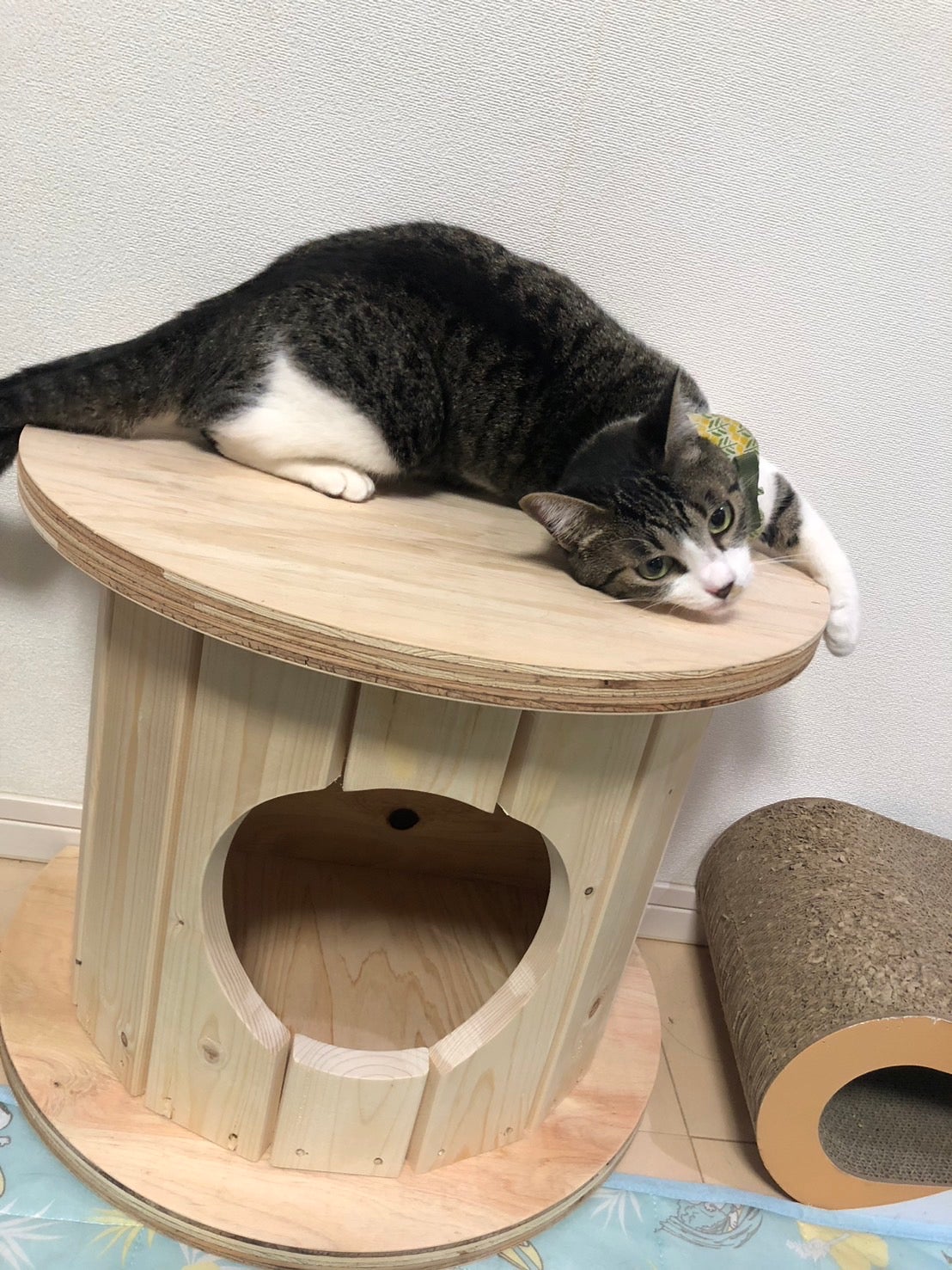 端材×匠の技！猫と地球に優しい秘密基地「木製ドラム型キャットハウス