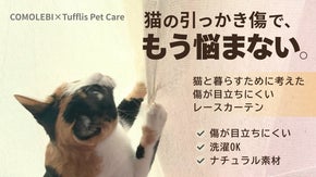 「もう傷に悩まない！」ねこ飼いのための傷が目立ちにくいレースカーテン！