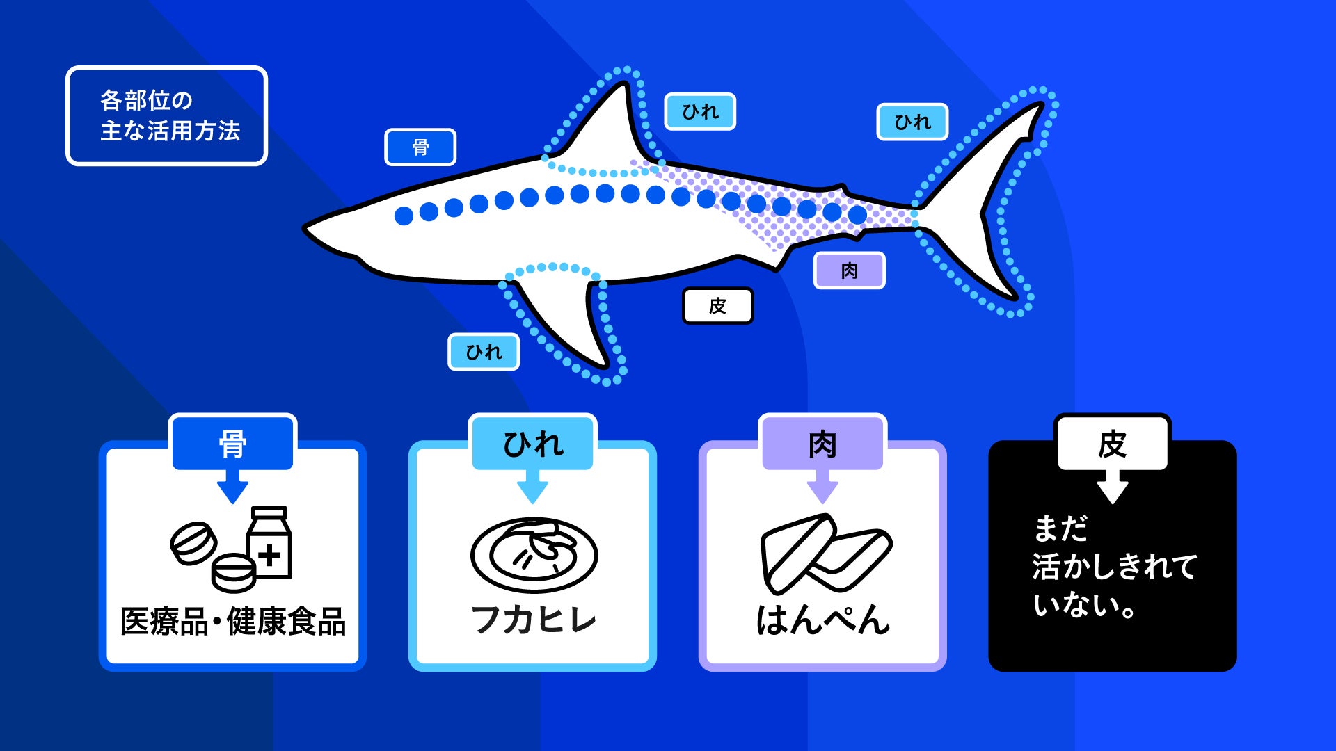 地域の文化とレコードの魅力を次世代へ。オーディオテクニカのレコード