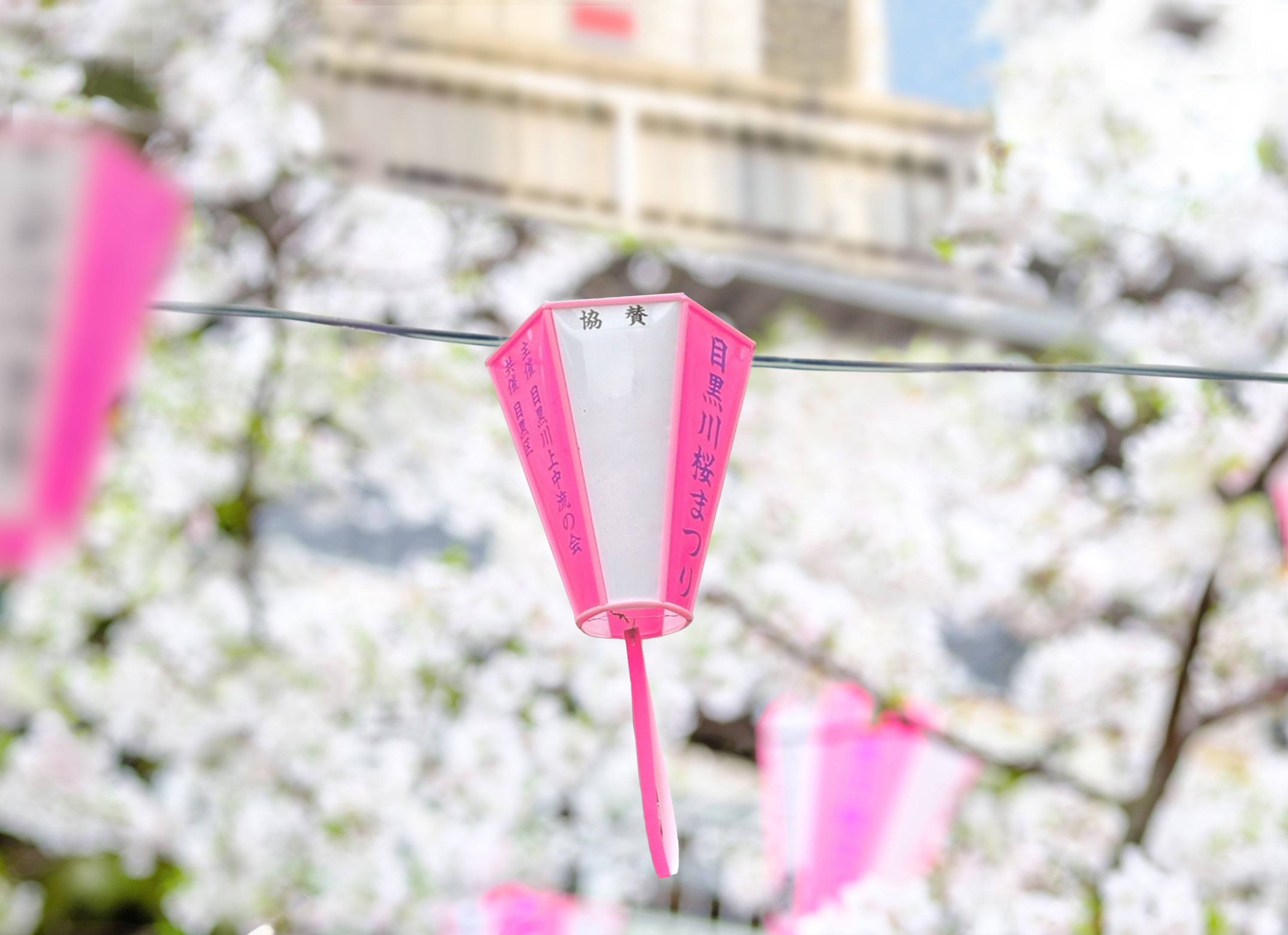 絶景花見席＆限定桜アイテム】中目黒｜目黒川の桜を未来へ。持続可能な