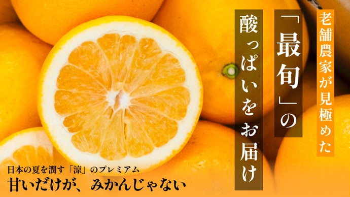 冬だけが主役じゃない。老舗農家が贈る、日本の夏を乗り切るプレミアムな夏の柑橘。