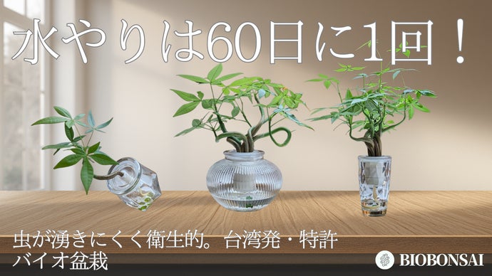 水やりは平均60日に1回！虫が湧きにくく室内で安心して育つ台湾発バイオ盆栽