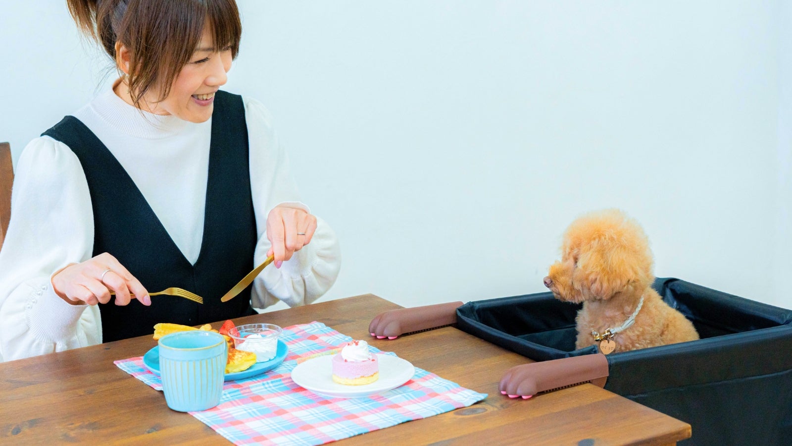 Makuake｜食事中の抱っこから解放！愛犬・愛猫と目線が合う「肉球