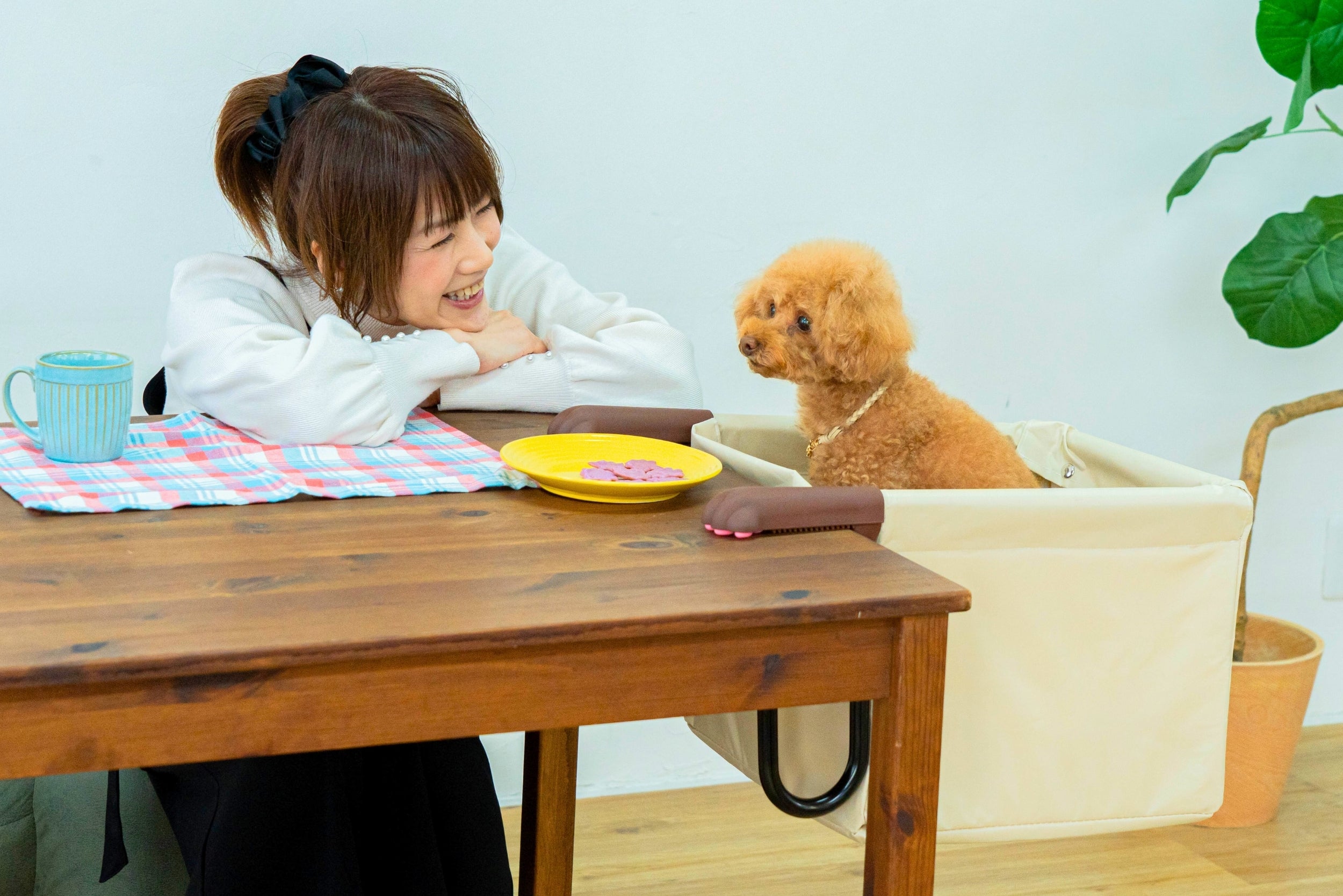 食事中の抱っこから解放！愛犬・愛猫と目線が合う「肉球アームのペット