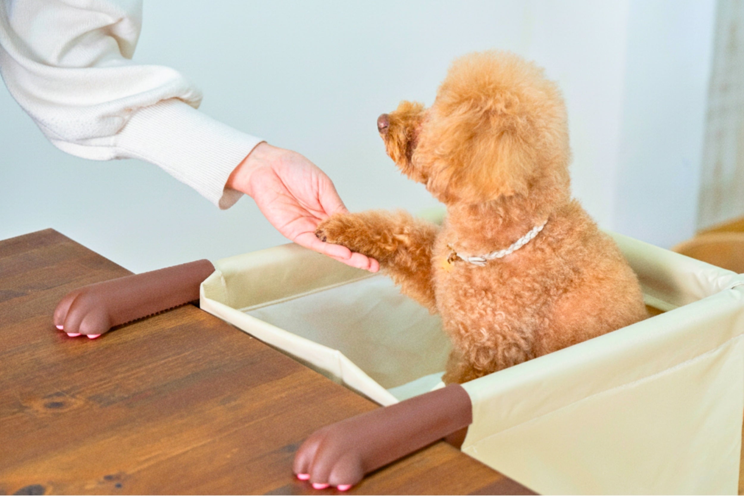 食事中の抱っこから解放！愛犬・愛猫と目線が合う「肉球アームのペット