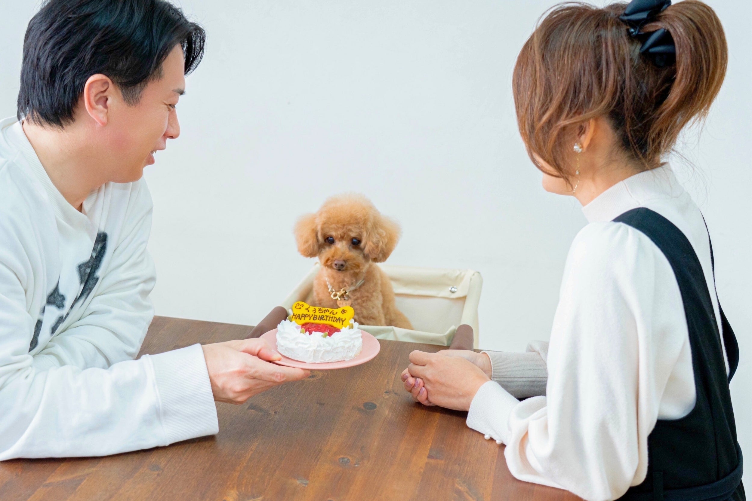 食事中の抱っこから解放！愛犬・愛猫と目線が合う「肉球アームのペット