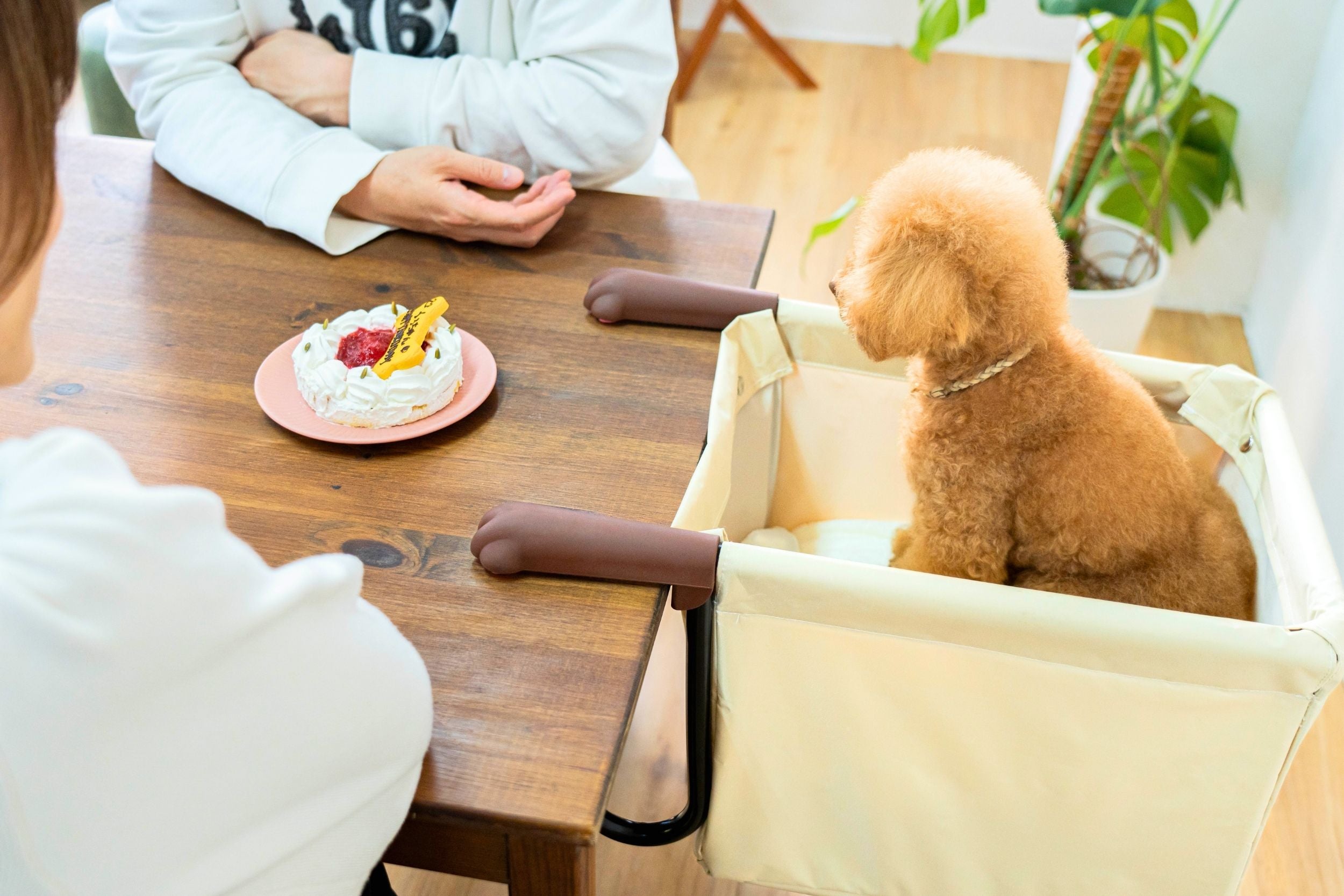 食事中の抱っこから解放！愛犬・愛猫と目線が合う「肉球アームのペット