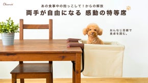 食事中の抱っこから解放！愛犬・愛猫と目線が合う「肉球アームのペットチェア」