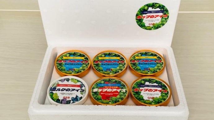 甘くて苦い『ホップのアイスクリーム』に新商品『チョコチップ入り』が