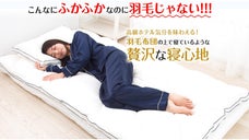 創業30年寝具メーカーが追求、羽毛を超えた新素材のグースリー・マットレストッパー