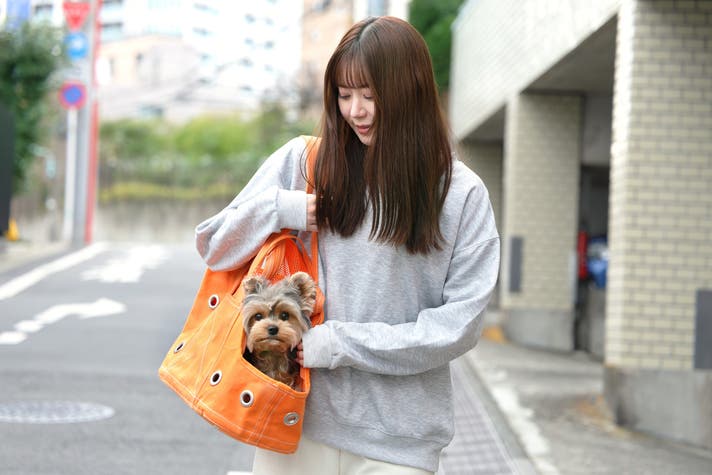 愛犬がくんくん本能で選ぶ ほっこり巣穴キャリーバッグ｜マクアケ