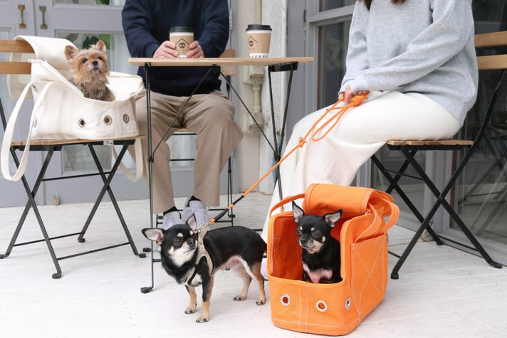 愛犬がくんくん本能で選ぶ ほっこり巣穴キャリーバッグ｜マクアケ