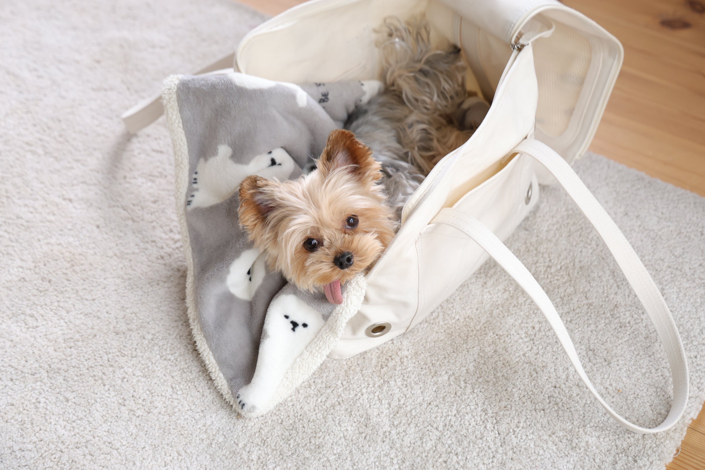 愛犬がくんくん本能で選ぶ ほっこり巣穴キャリーバッグ｜マクアケ