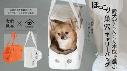 愛犬がくんくん本能で選ぶ ほっこり巣穴キャリーバッグ｜マクアケ