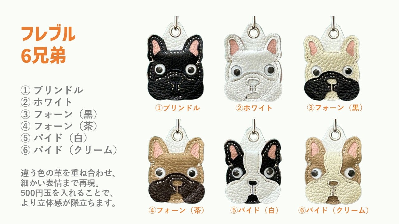 防災を日常に。500円玉が6枚入る！「フレブル」コインホルダー新登場