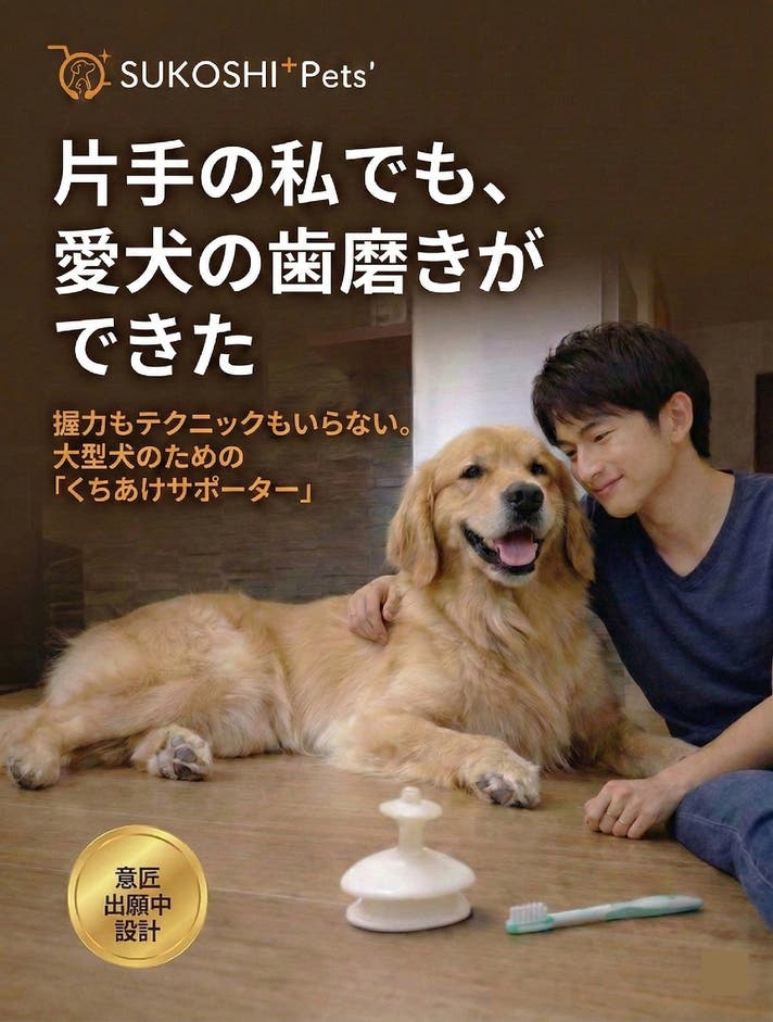 [美品・初版・帯付き] 犬憑きさん 上下セット Amazon.co.jp: 全3サイズ 犬 歯ブラシ 小型犬 中型犬用【奥歯の裏まで