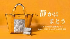 静かに、格をまとう。日常と持ち主に溶け込むミニトートバックとコンパクト財布