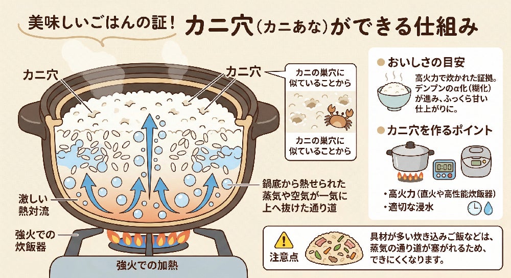 次世代の炊飯鍋】高純度炭素材が魔法のように食材の旨みを引き出し