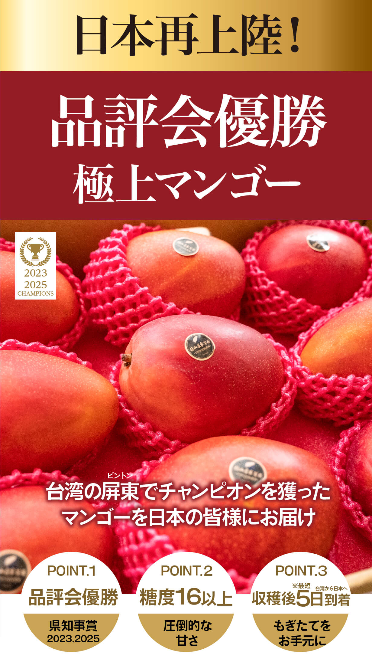 大好評で再上陸！規格外の甘さ♪台湾チャンピオンマンゴー、今年も