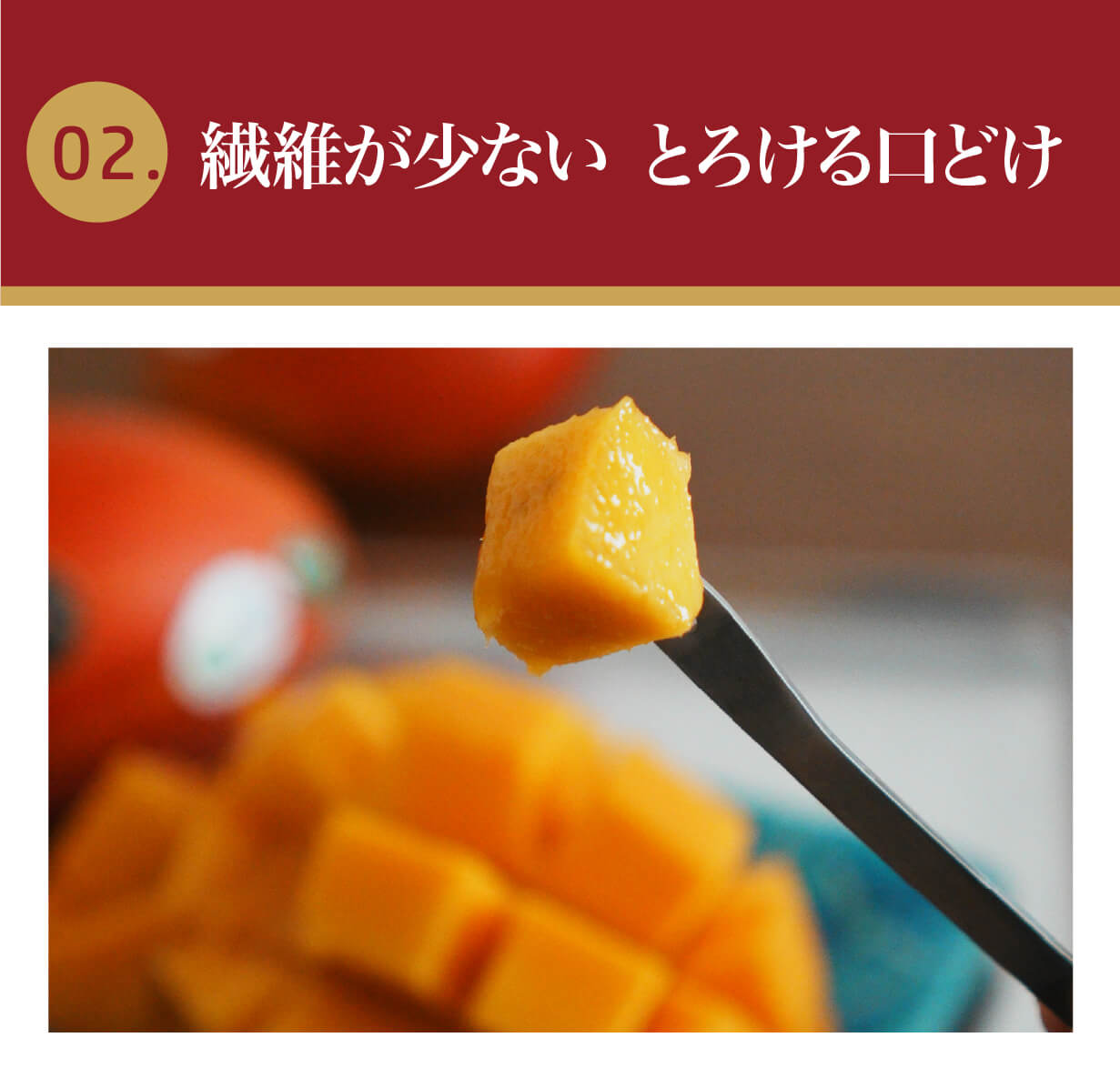 大好評で再上陸！規格外の甘さ♪台湾チャンピオンマンゴー、今年も