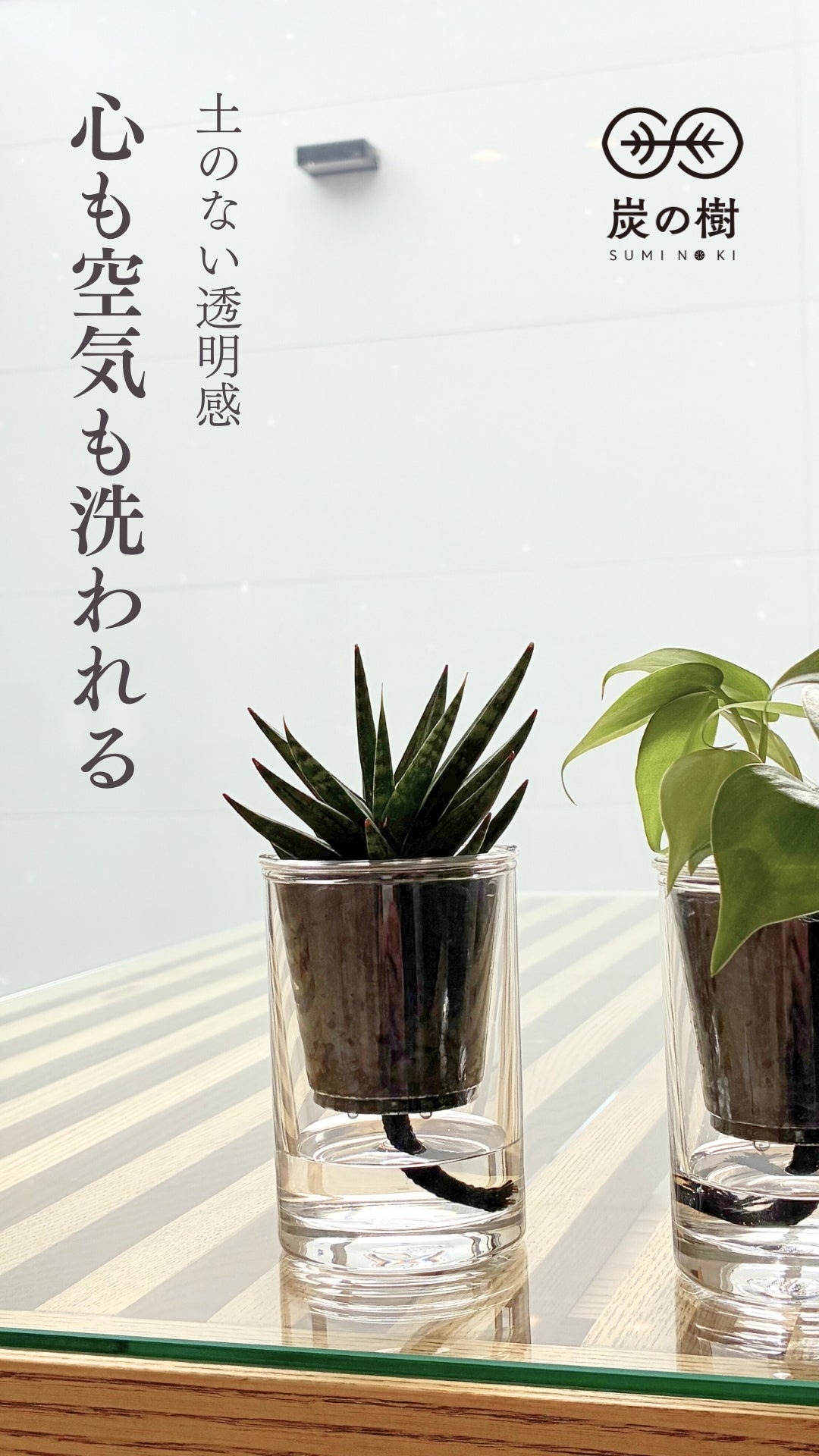 土不要！心と暮らしに静かな豊かさをもたらす、ズボラでも枯らさない新