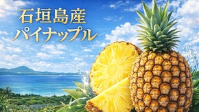 【石垣島直送】完熟パイナップルをご自宅で！