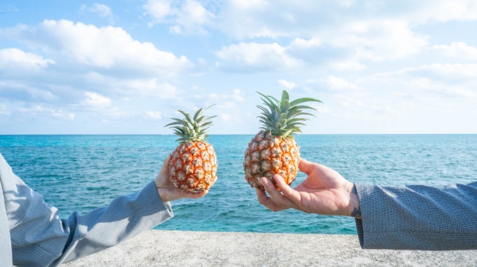 ★新品 Beach Queen パイナップル ヤシの木 石垣島産【極上パイナップル】第四弾！ホワイトココ先行予約販売