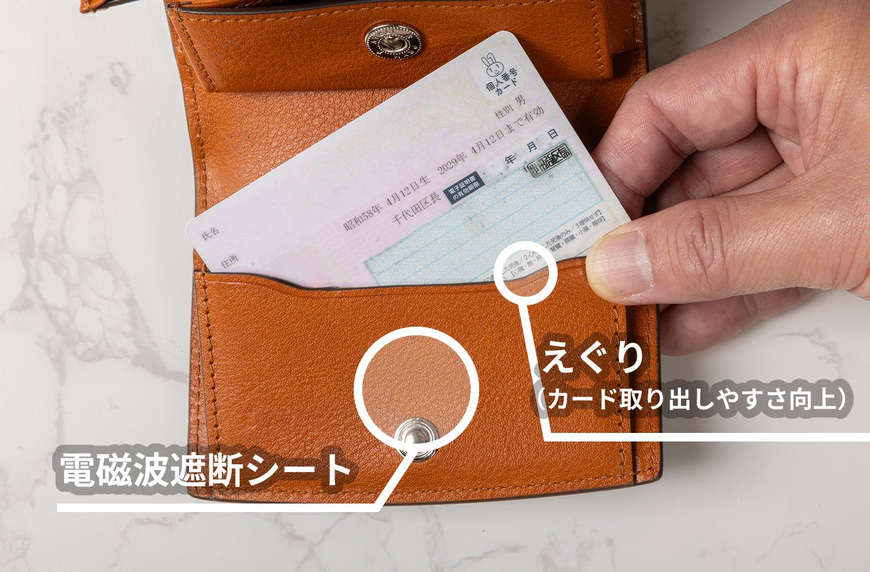 小さいのに、ここまで入る。英国ブライドルレザーで仕立てた三つ折り