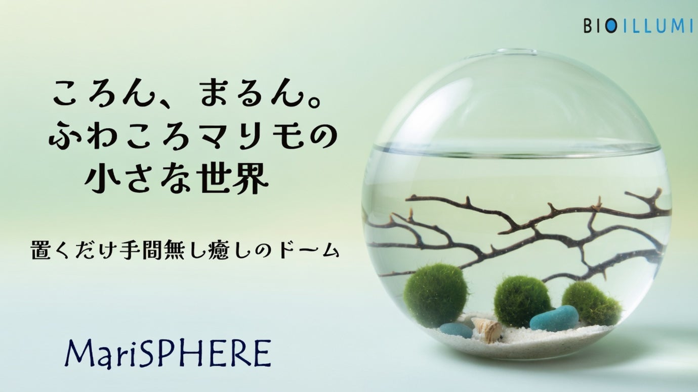 ころん、まるん。ふわころマリモの小さな世界 置くだけ手間無し癒しのテラリウム