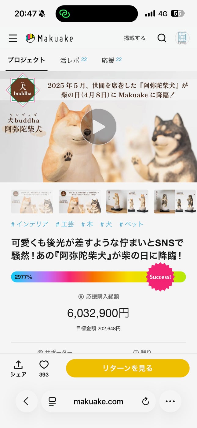可愛くも後光が差すような佇まいとSNSで騒然！あの『阿弥陀柴犬』が柴
