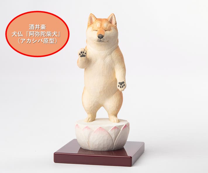 可愛くも後光が差すような佇まいとSNSで騒然！あの『阿弥陀柴犬』が柴 