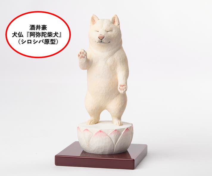 可愛くも後光が差すような佇まいとSNSで騒然！あの『阿弥陀柴犬』が柴