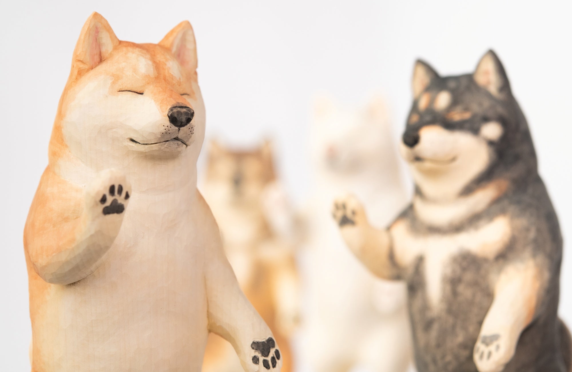 可愛くも後光が差すような佇まいとSNSで騒然！あの『阿弥陀柴犬』が柴
