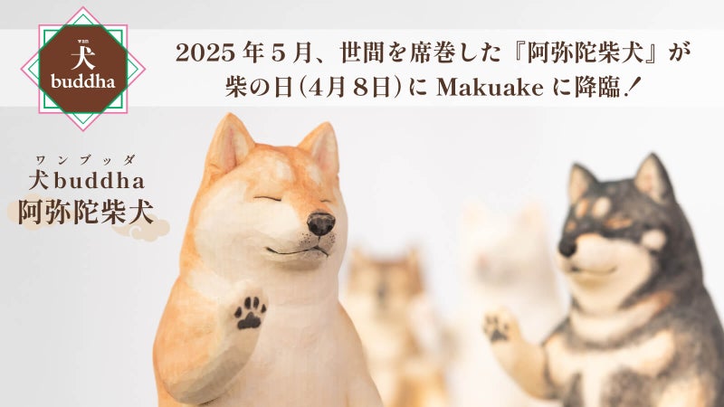 可愛くも後光が差すような佇まいとSNSで騒然！あの『阿弥陀柴犬』が柴の日に降臨！