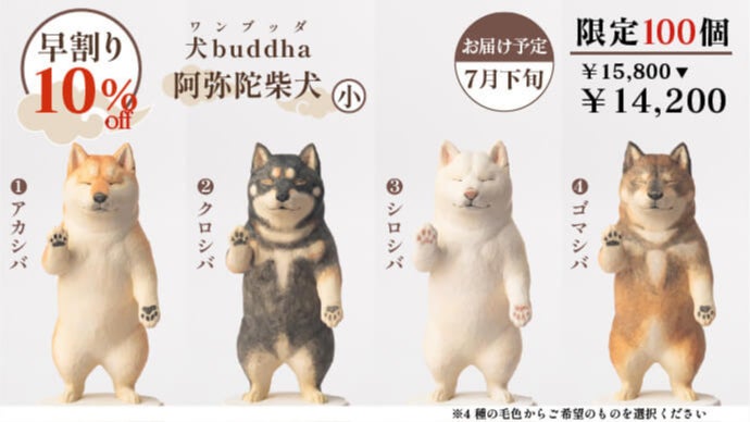 可愛くも後光が差すような佇まいとSNSで騒然！あの『阿弥陀柴犬』が柴
