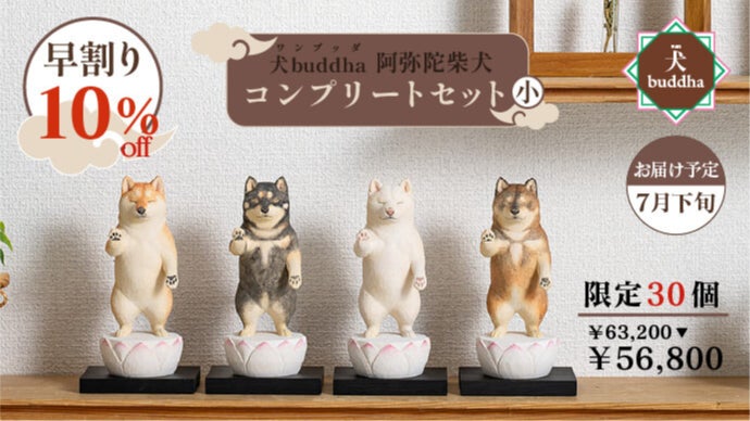 可愛くも後光が差すような佇まいとSNSで騒然！あの『阿弥陀柴犬』が柴 
