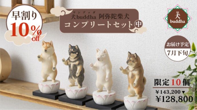 可愛くも後光が差すような佇まいとSNSで騒然！あの『阿弥陀柴犬』が柴